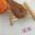 Upgraded Version of Hollow Thread Ice Silk Bright Silk Thread Hand-woven Circle Hook Doll Line 50g Yarn Crochet Threads Knitting 10