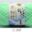 50g/set Milk Cotton Yarn Fine Quality Hand-Knitting Thread Soft Warm DIY Cotton Threads Baby Wool for Hand Knitting Crochet Yarn 44
